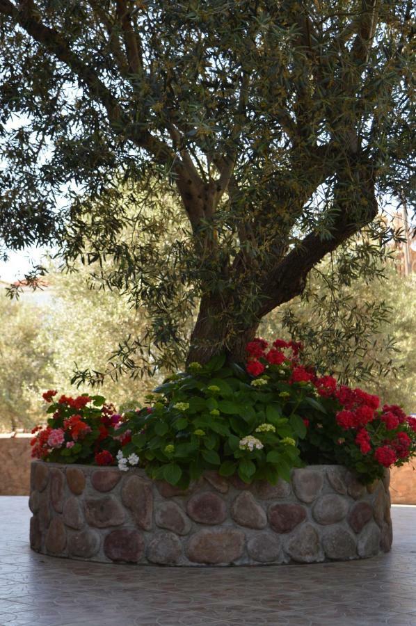 Anaxos Gardens Aparthotel Exteriör bild